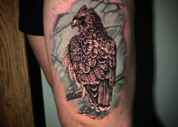Jeff Norton Tattoos  Tattoos  Animal  Red tail hawk